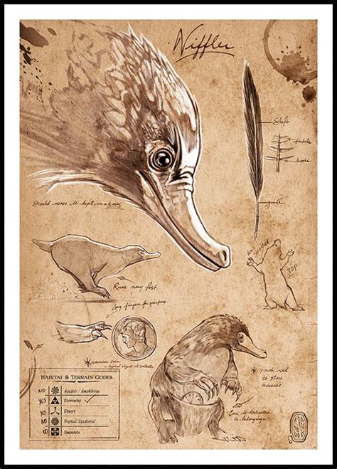 Fantastic Beasts™ - Niffler Sketch Poster | Harry potter creatures ...