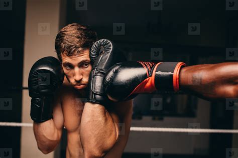 Boxing athlete blocking a punch to jaw stock photo (126641 ...