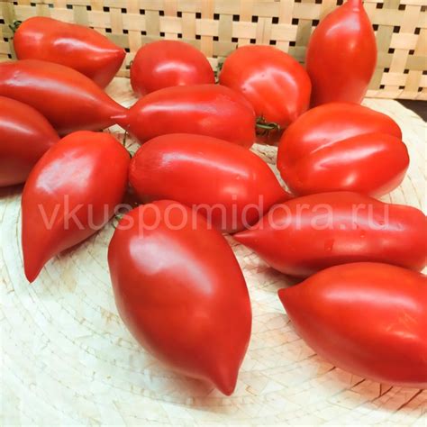Купить семена томата сорт Аннушка