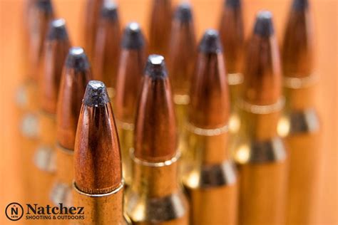 Types Of Bullets For Hunting, Competitions & Self-Defense