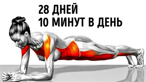 7 ПРОСТЫХ УПРАЖНЕНИЙ, КОТОРЫЕ БЫСТРО ПРЕОБРАЗЯТ ВАШЕ ТЕЛО - YouTube
