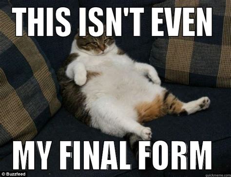 isnt   final form quickmeme