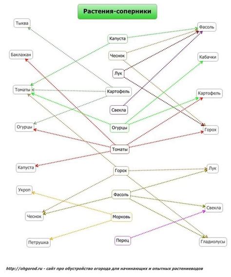 Интеллект-карта Растения-соперники | Растения, Декоративный огород ...