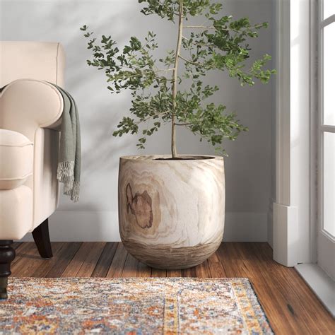 Large Pot Plants