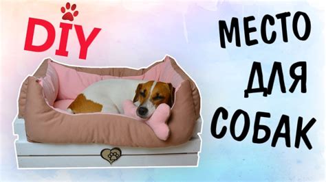 DIY МЕСТО ДЛЯ СОБАК СВОИМИ РУКАМИ | ЛЕЖАНКА ИЗ ДЕРЕВЯННОГО ЯЩИКА - YouTube