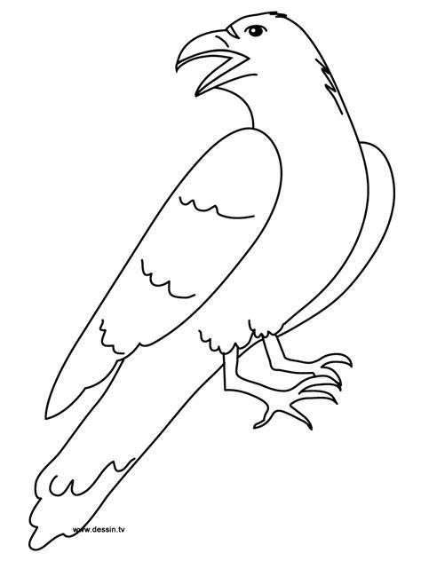 Raven #4289 (Animals) – Free Printable Coloring Pages