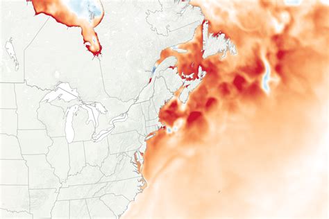 Watery Heatwave Cooks the Gulf of Maine