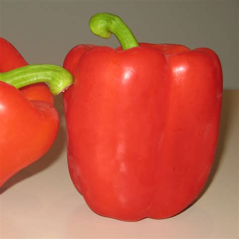 F 027 F1 - Wing Seed