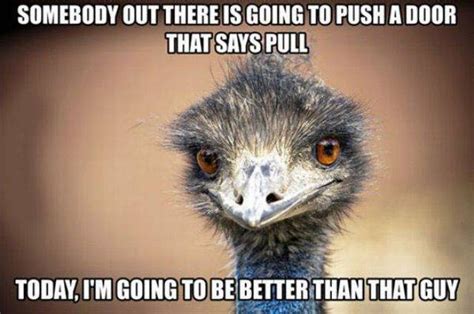 Daily Funny Collection #329 (27 Pics).