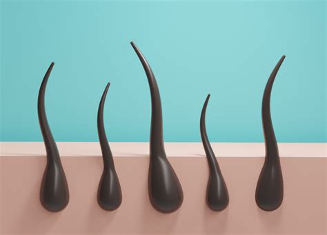 how to increase estrogen for hair growth