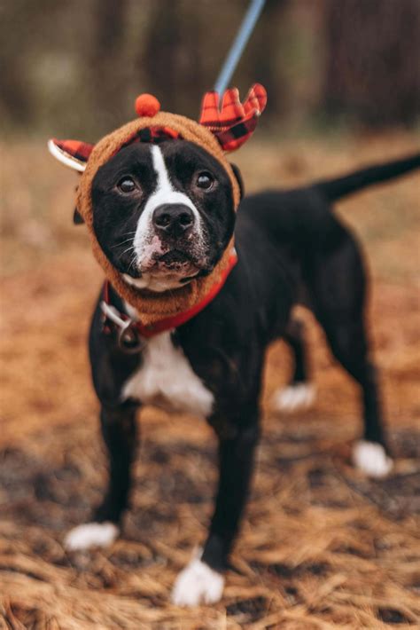 boyd county jail records 3