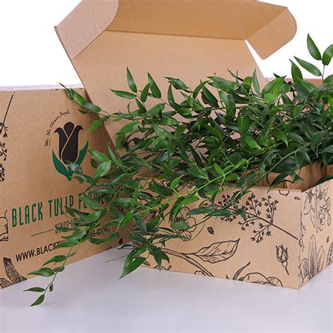 Italian Ruscus - Flower Delivery Dubai, UAE