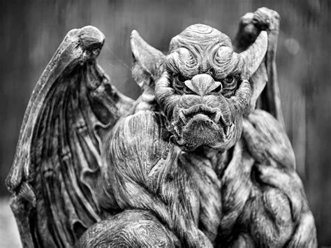 DragonsFaeriesElves&theUnseen : Gargoyles