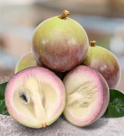 diana tropical fruit farm fresh fruits  florida