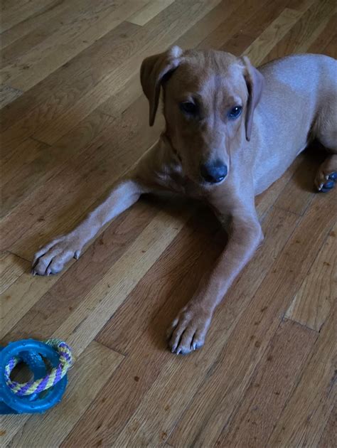 Hope For Heroes Foundation | Billings NY