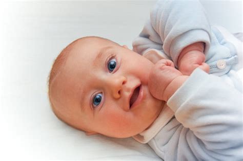 Neonato 이미지 – 찾아보기 6,924 스톡 사진, 벡터 및 비디오 | Adobe Stock