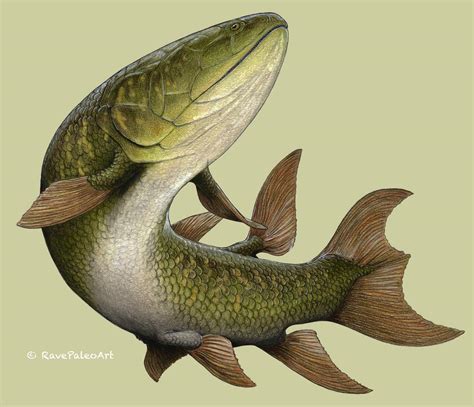 Eusthenopteron foordi by RavePaleoArt on DeviantArt