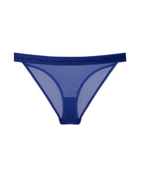 Transparent Sexy Panties, Sheer Mesh Underwear, Sheer Slip Panty, See