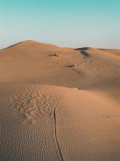 Dune Photos, Download The BEST Free Dune Stock Photos & HD Images