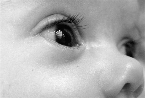 A fresh pair of eyes b&w II | Bill Tyne | Flickr