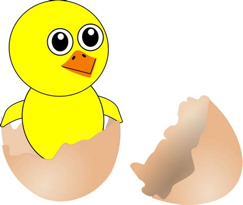 Птенчик рисунок (Много фото) - drawpics.ru