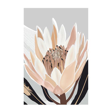 Cream Silver Protea , By Stacey Williams |Wall Art Print Framed Canvas