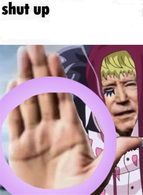 Let's collect all the variations of this meme here : r/MemePiece