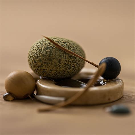 What Role Do Non-Governmental Organizations (NGOs) Often Play in