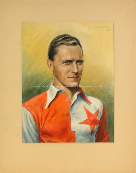 Obrazy v aukci | Josef Bican
