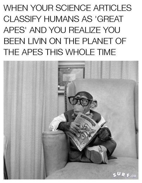 In response to the new 'Planet of the Apes' trailer... : r/memes