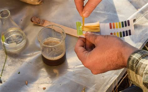 soil ph analysis method  abel roque blog
