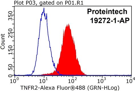 TNFR2 / TNFRSF1B antibody (19272-1-AP) | Proteintech
