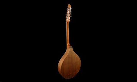 Bouzouki Irlandais à 10 cordes – Atelier de lutherie guitare Mathieu Boulet