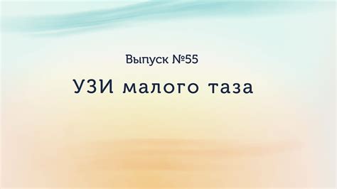 УЗИ малого таза - YouTube
