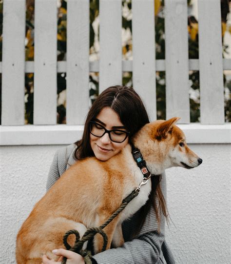 Animal Assisted Therapy | Bellarine Psychology