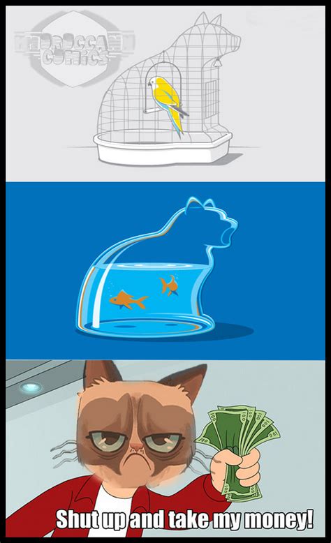 take all my money Grumpy Cat | Grumpy Cat | Know Your Meme