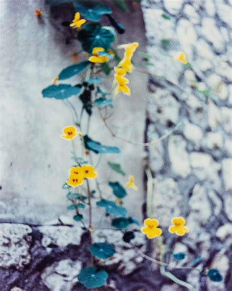 Jack Pierson - Youth Plate For Sale at 1stDibs | jack pierson nude