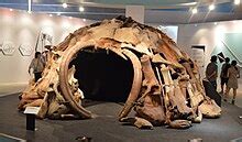 Les débuts de l'humanité/Le Paléolithique — Wikiversité