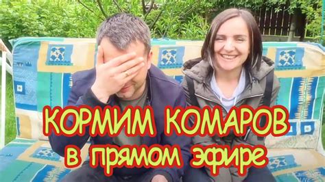 Печки лавочки в прямом эфире КОРМИМ КОМАРОВ - YouTube