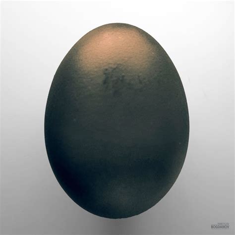 Черно яйце – Madein.bg