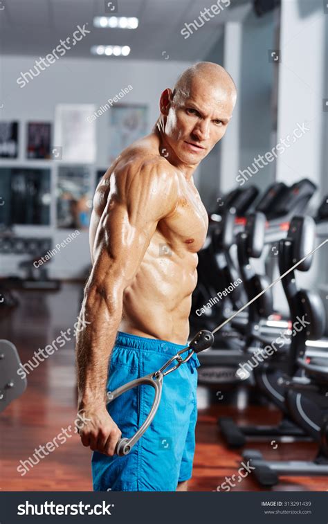 Ripped Triceps