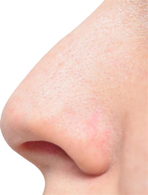 Nose PNG Images - PNG All | PNG All