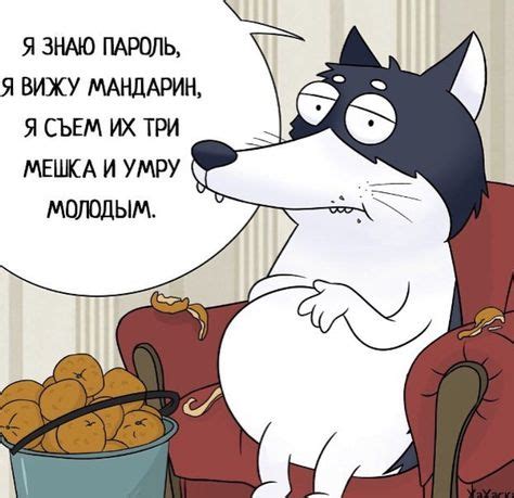 49 Mem ideas | гумор, цитати, меми