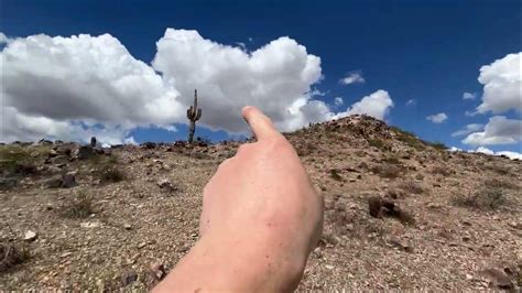 Прогулка по горе🏔️в поисках ядовитых змей 🐍 ⚕️(Штат Аризона - город ...