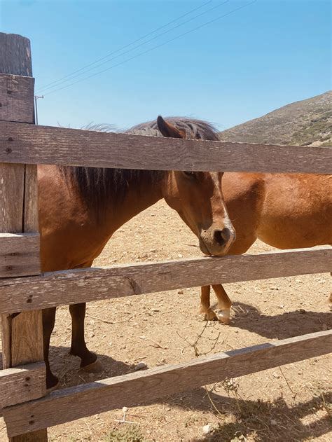 Skyros Island Travel Guide for First-Time Visitors