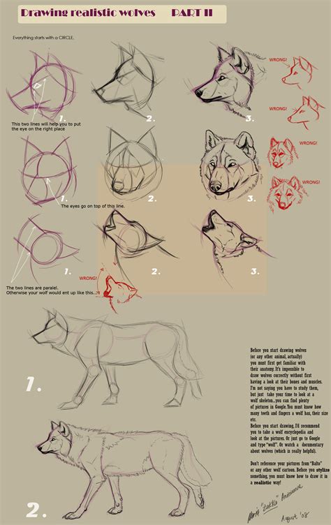 how to draw wolves 4