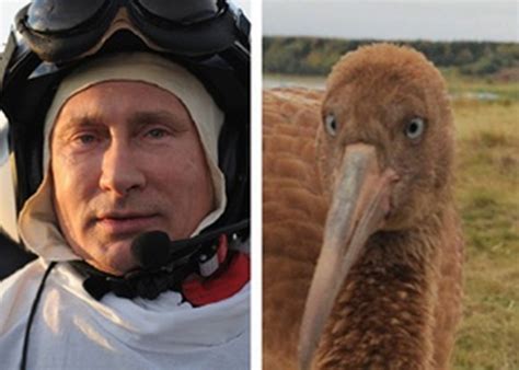 Путин в костюме стерха - 94 фото