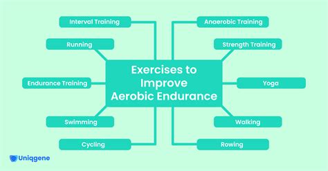 How to Master Aerobic Endurance: Benefits and Exercises - Fitnesso