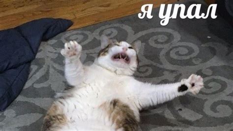Рубль упал. Что делать? Смотреть мемы!