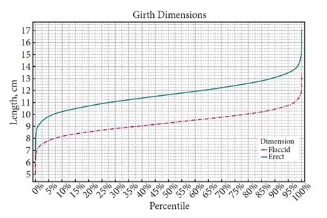 average penis length study reveals  normal manhood